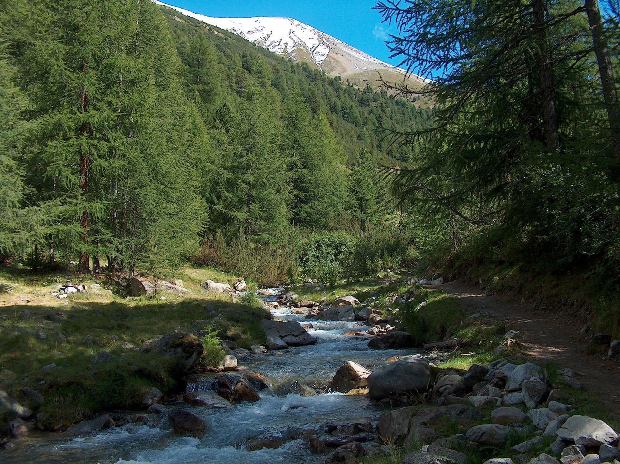 Hotel Duc De Rohan Livigno Eksteriør billede