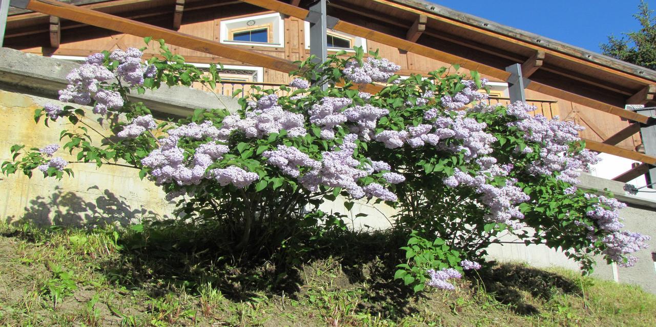 Hotel Duc De Rohan Livigno Eksteriør billede